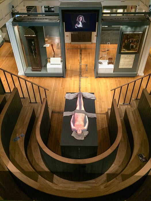 The Dissection Theatre complete with an interactive dissection