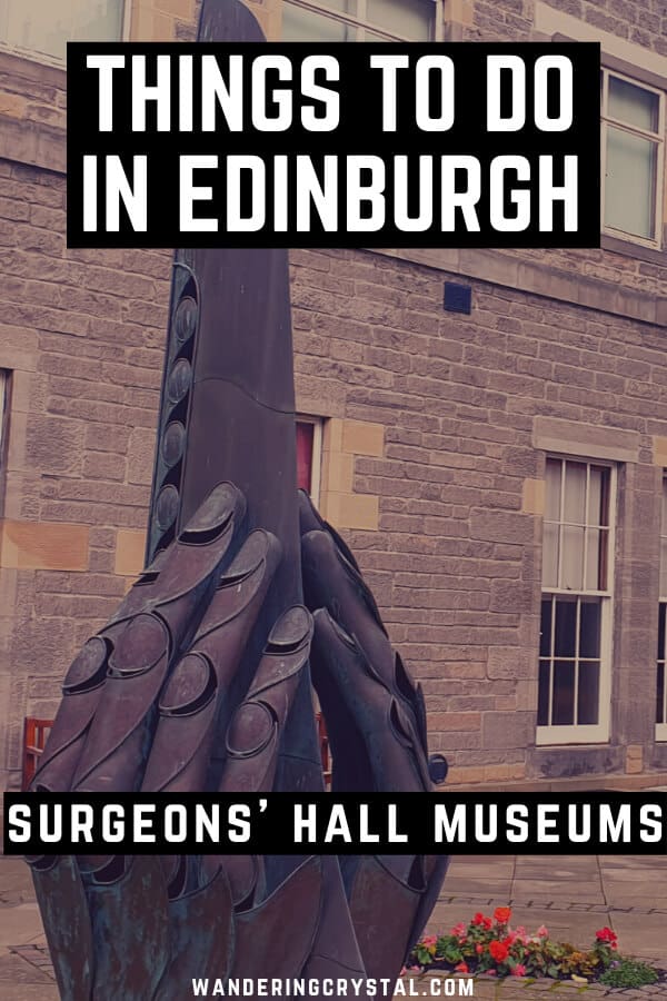 Things to do in Edinburgh - Visit the Surgeons Hall Museum and witness Edinburgh Scotlands Medical History